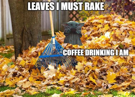 RAKING LEAVES - Imgflip