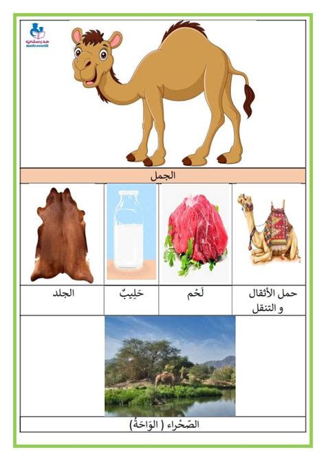 الحيوانات الاليفة منافعها و اماكن عيشها صور 14 صفحة - موقع مدرستي Arabic Alphabet For Kids ...