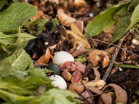 Bokashi Composting | DIY Bokashi Bin - A Quaint Life