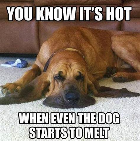 Weather, It's NOT Just a Conversation Filler! : It's So Hot It's ...