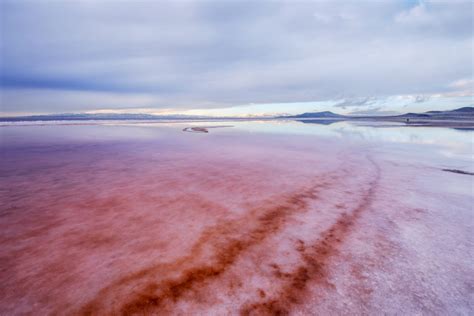 Snow algae increases glacier ice melt in the US