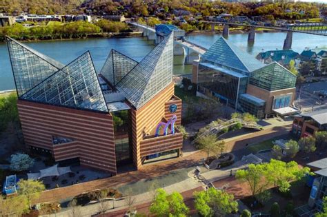 Chattanooga Aquarium: 45+ Essential Things to Know BEFORE Going