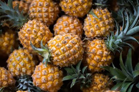 Top 20 Different Types of Pineapple You Should Know - Crazy Masala Food