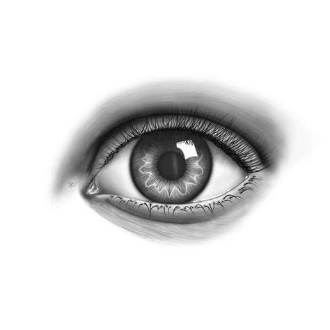 ArtStation - Realistic Human Eye Drawing