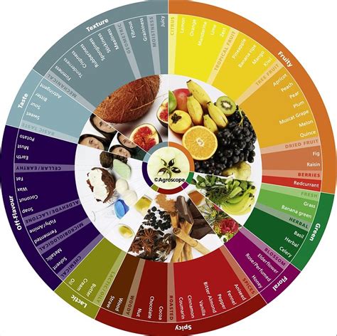 Apple Flavor and Aroma Wheel - General Fruit Growing - Growing Fruit