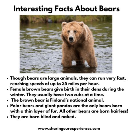 Some Amazing Facts About Animals - Image to u