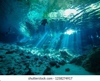 Cenote Diving Cancun Mexico Stock Photo 1258274917 | Shutterstock