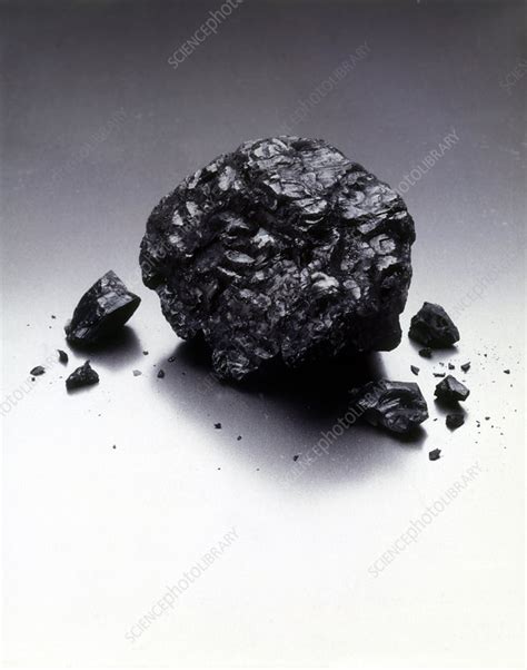 Anthracite Coal - Stock Image - C043/3744 - Science Photo Library