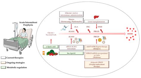 Biomedicines | Free Full-Text | Cutting-Edge Therapies and Novel Strategies for Acute ...