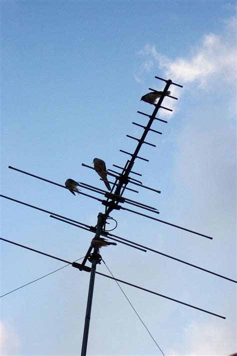 How To Install An Outdoor TV Antenna | Outdoor tv antenna, Outdoor hdtv ...