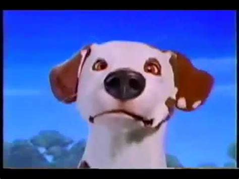 Nickelodeon Dog Logo 2005-2008 - YouTube