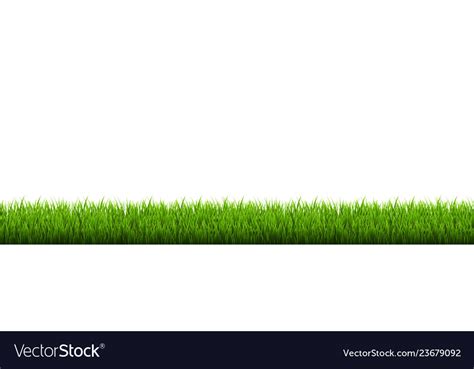 Grass border white background Royalty Free Vector Image