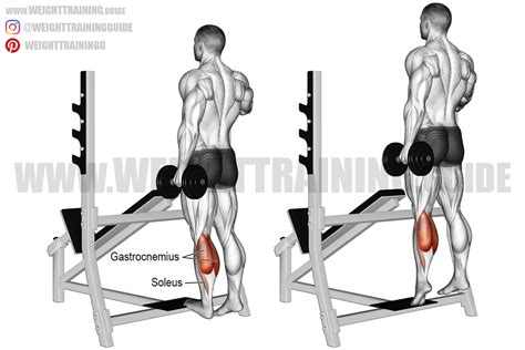 What Are Standing Calf Raises