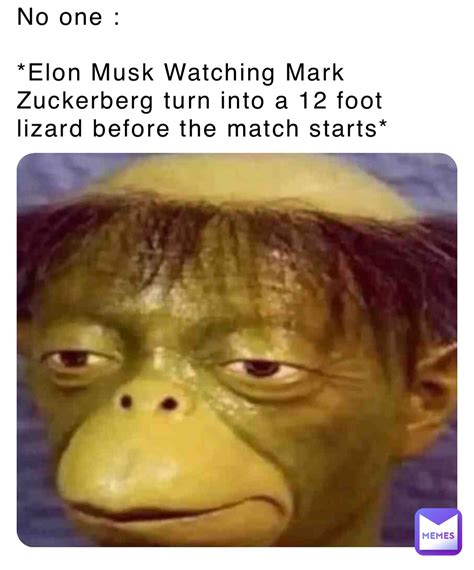 No one : *Elon Musk Watching Mark Zuckerberg turn into a 12 foot lizard before the match starts ...