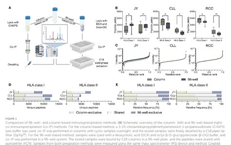 Figure 1 from Immunoprecipitation methods impact the peptide repertoire ...