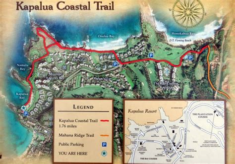 Kapalua Coastal Trail - Hiking And Walking In West Maui