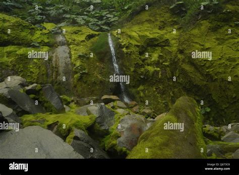 Bajos del toro waterfall hi-res stock photography and images - Alamy