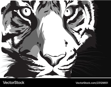 Black and white sketch of a tiger s face Vector Image