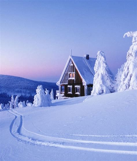 Nature & Wildlife winter break Sweden - www.thegreentrails.com