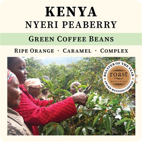 Kenya Nyeri Peaberry Green Coffee Beans – Thanksgiving Coffee Company