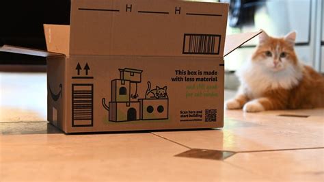 You Can Turn Your Amazon Boxes Into A Cat Condo | Dieline - Design, Branding & Packaging Inspiration