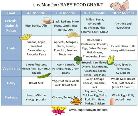 Baby Food Chart For 7 Months - Taste Virginia Beach