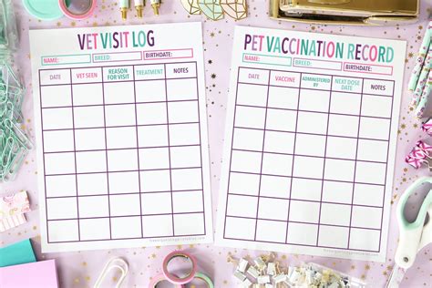 Printable Vet Record Template and Pet Vaccination Record