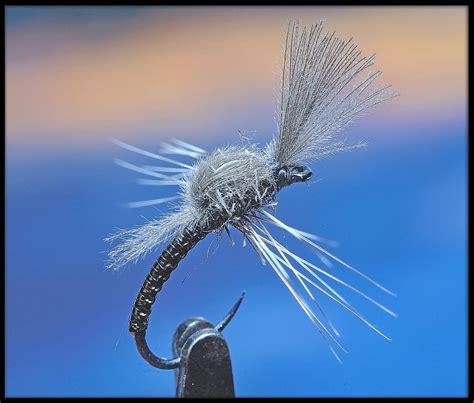 WOVEN MIDGE EMERGER sbs | Fly fishing, Fly fishing flies pattern, Fly ...