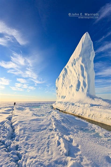 Captivating Canadian Wildlife and Nature Photography