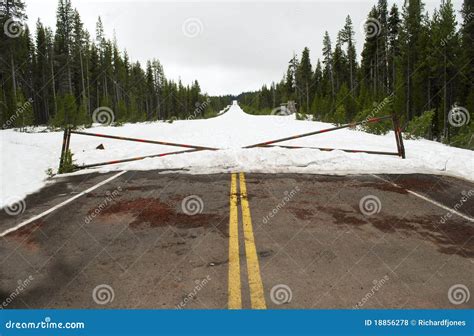 Road closed due to snow stock photo. Image of pines, snow - 18856278