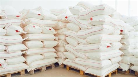 Abu Dhabi bans uncertified bagged cement - News | Khaleej Times