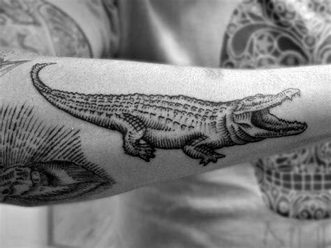 Picture Of Alligator tattoo on the forearm