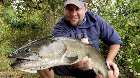 The Beginner’s Guide To Bowfin Fishing | MeatEater Fishing