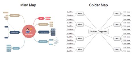 Spider Map Graphic Organizer - Free Templates