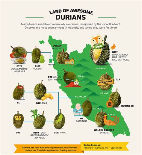 Durian Info: A Beginner's Guide To Durian by Tourism Malaysia