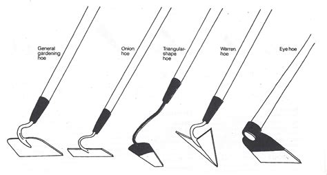 Time for some gardening boys. Types of Hoes. : r/PewdiepieSubmissions