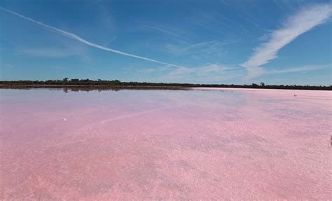 Deformutilation: Lake Retba, Senegal