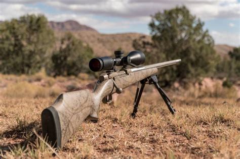 Finally: 6 Best Budget-Friendly Long Range Hunting Rifles