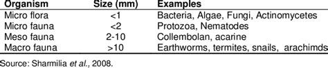 Classification of soil biota based on body size. | Download Scientific Diagram