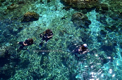 Why Alor Island Should Be Your Next Scuba Diving Destination