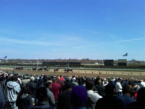 Today's Free Aqueduct Winning Horse Picks [2019]