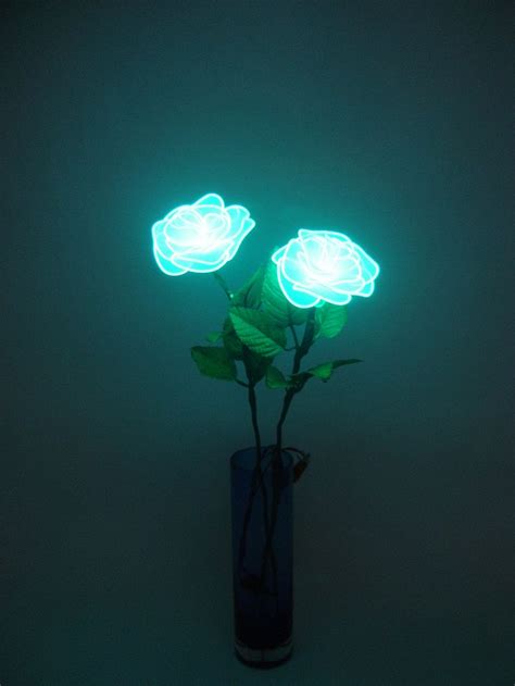 11 best images about Flower glow in the dark on Pinterest | Glow, Beauty women and Bar lighting