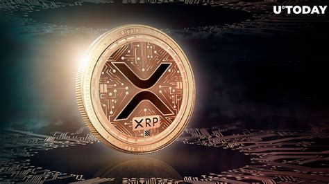 XRP Top Wallet Unveils Exciting News for XRP Holders