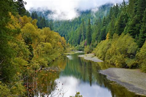 Humboldt Redwoods State Park