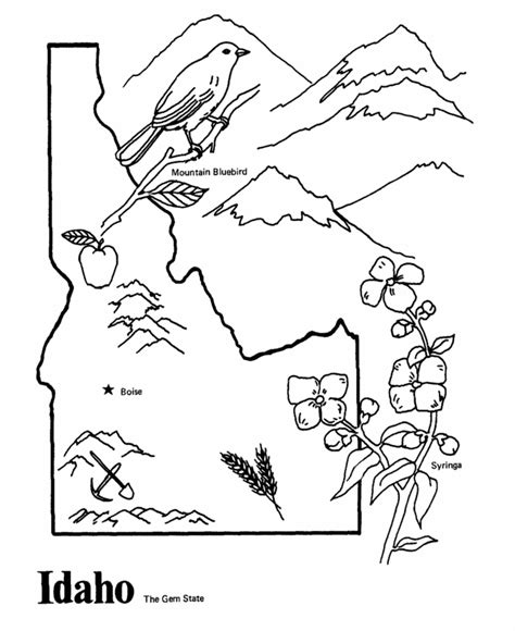 USA-Printables: State outline shape and demographic map - State of ...