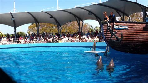 Miami Seaquarium Dolphin Show - YouTube