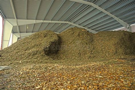 Storage of Wooden Fuel Biomass Stock Photo - Image of fuel, facility: 163368682