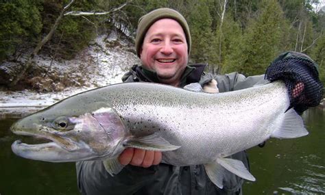 Michigan Muskegon River Steelhead Fishing Report - Fall Winter Steelhead