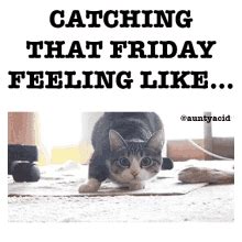 GIF-y z serii Its Friday Meme | Tenor