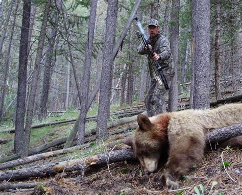 Tips for Calling in Bears - Tactics/Knowledge - Bear Hunting Magazine